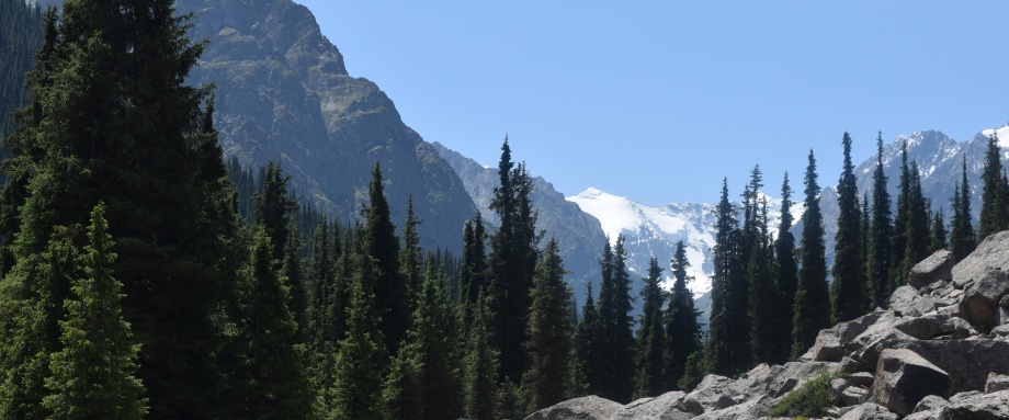 Chon Kyzyl-Suu Gorge