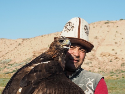 Eagle hunting show 